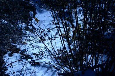 DSC_5044 (Large).JPG